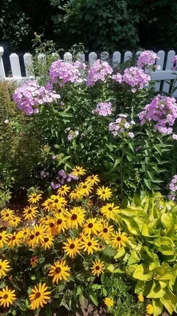 a view of yard with flowers and tree