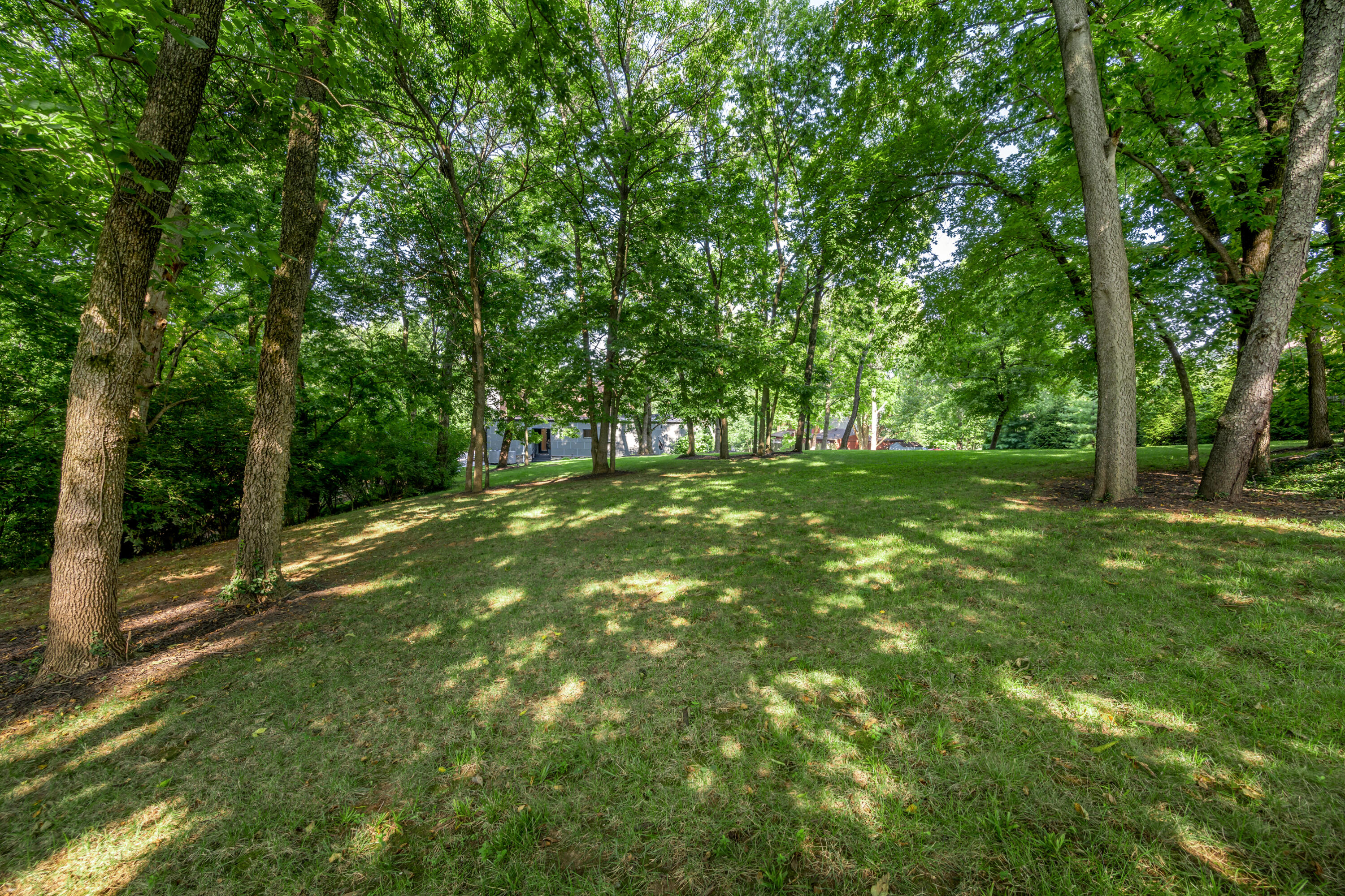 916 Bravington Way Lexington, KY 40503 - Photo 81 of 132 TDB_5451