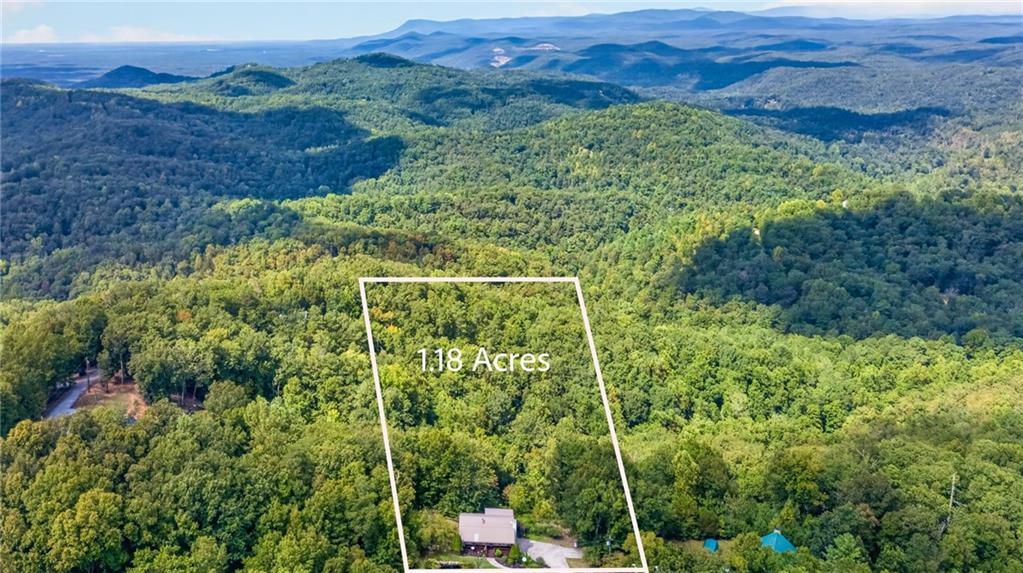 982 Raccoon Ridge Northeast Ranger, GA 30734 - Photo 60 of 61 Gallery Image 60