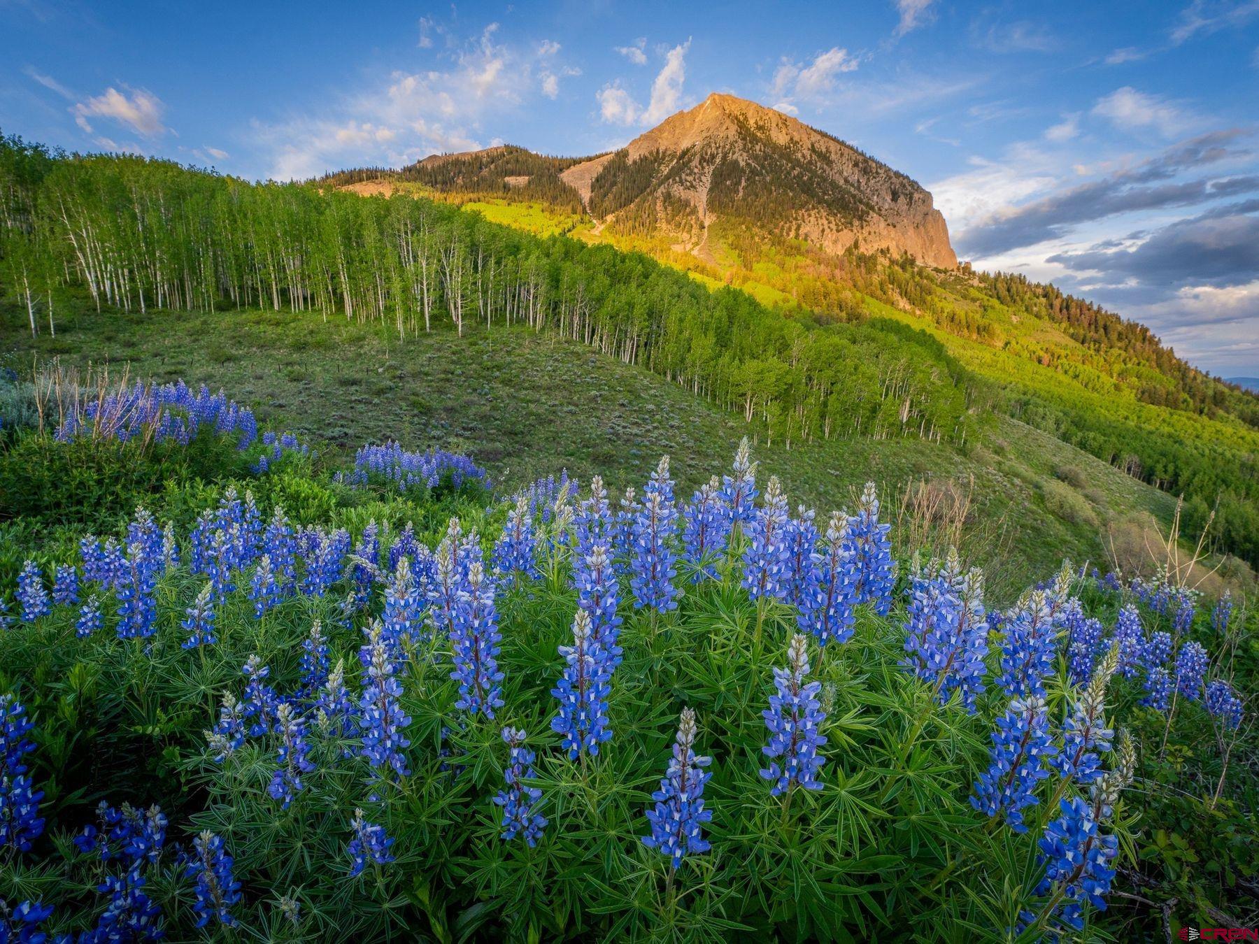 3 Summit Road Crested Butte, CO 81225 - Photo 45 of 45 Gallery Image 45