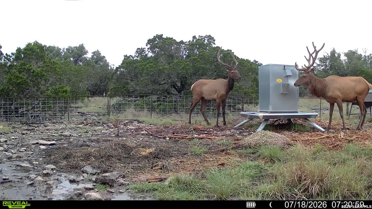 1862 Sd 31846 Rocksprings, TX 78880 - Photo 6 of 52 Gallery Image 6