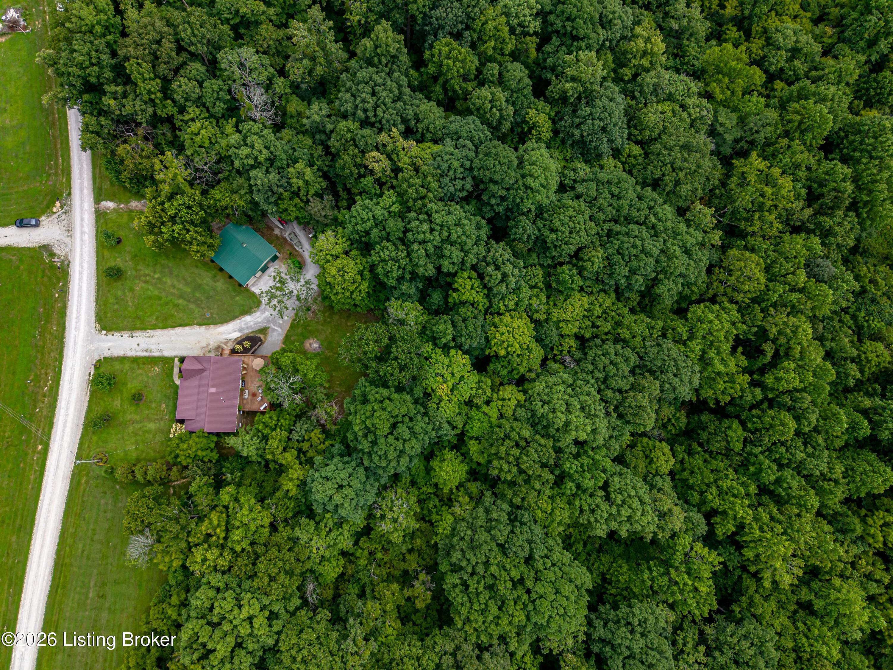 312 Cedar Point Road Mount Eden, KY 40046 - Photo 65 of 72 18_Aerial-Trees-Topdown