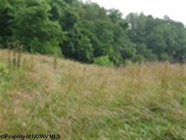 5143 West Old Mill Road Jane Lew, WV 26378 - Photo 3 of 3 Gallery Image 3