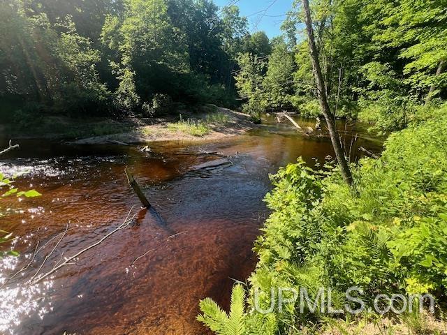 11.6 Acres Off Remington Road Marquette, MI 49855 - Photo 32 of 39