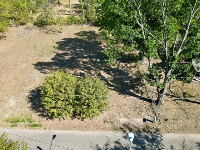a view of a yard with a tree