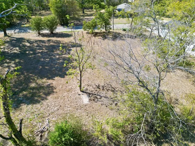 a view of a yard with plants and trees