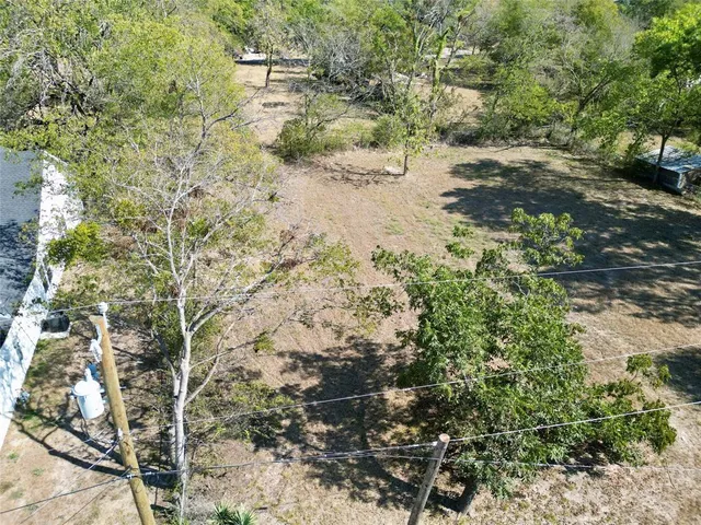 a view of a yard with plants and large trees
