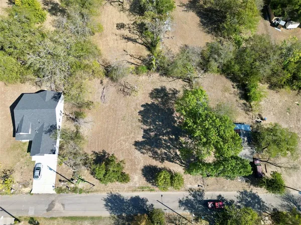 a view of a yard with plants