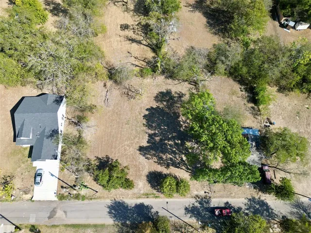 a view of a yard with plants