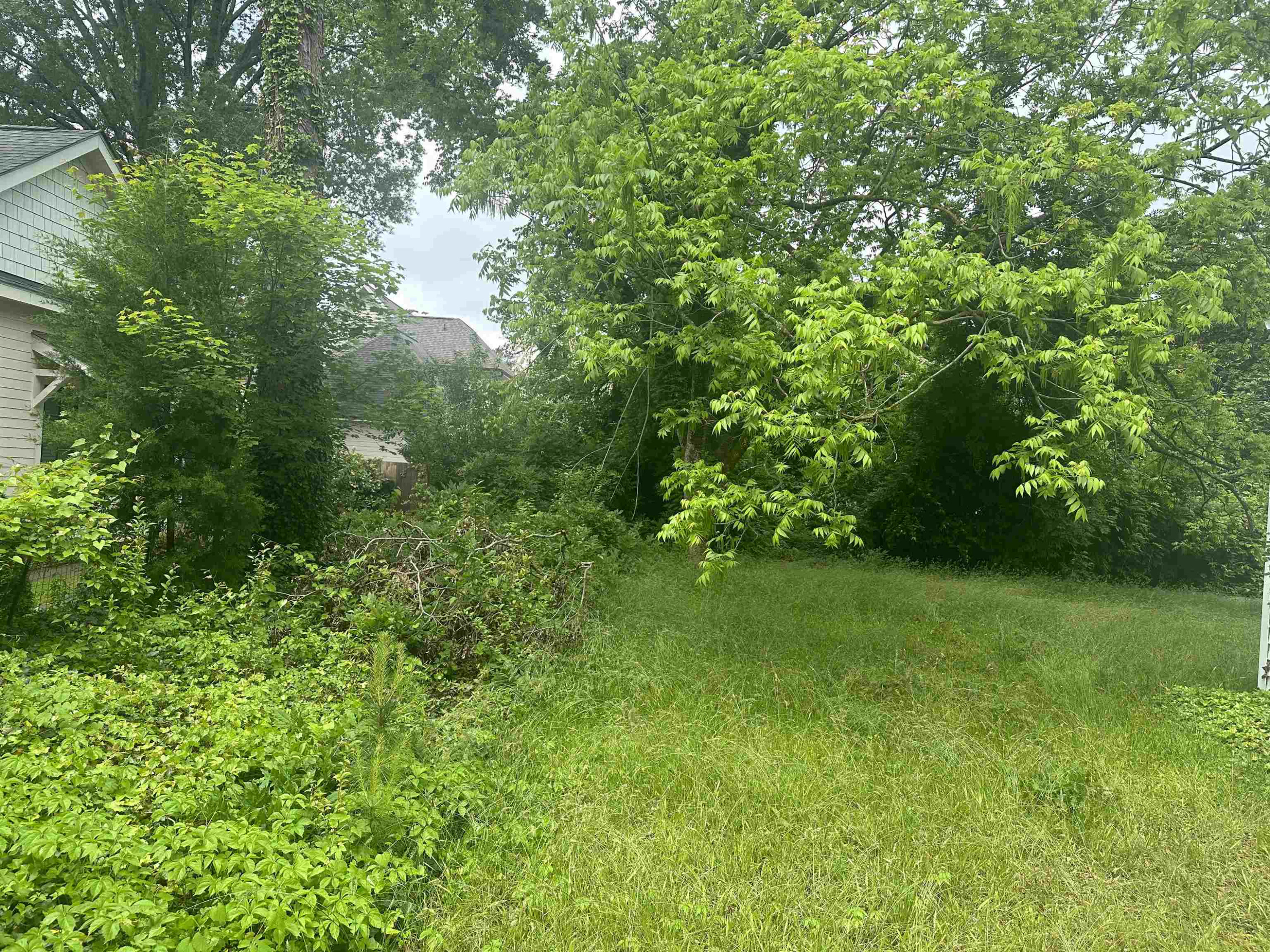 1309 Canterbury Road Raleigh, NC 27608 - Photo 27 of 32 Photo 27