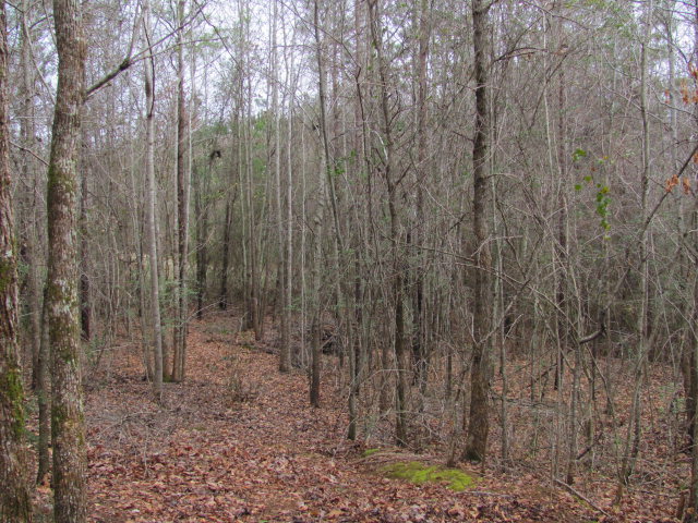 415 Pine Grove Church Road, Unit 5 Culloden, GA 31016 - Photo 28 of 29 Additional Photo