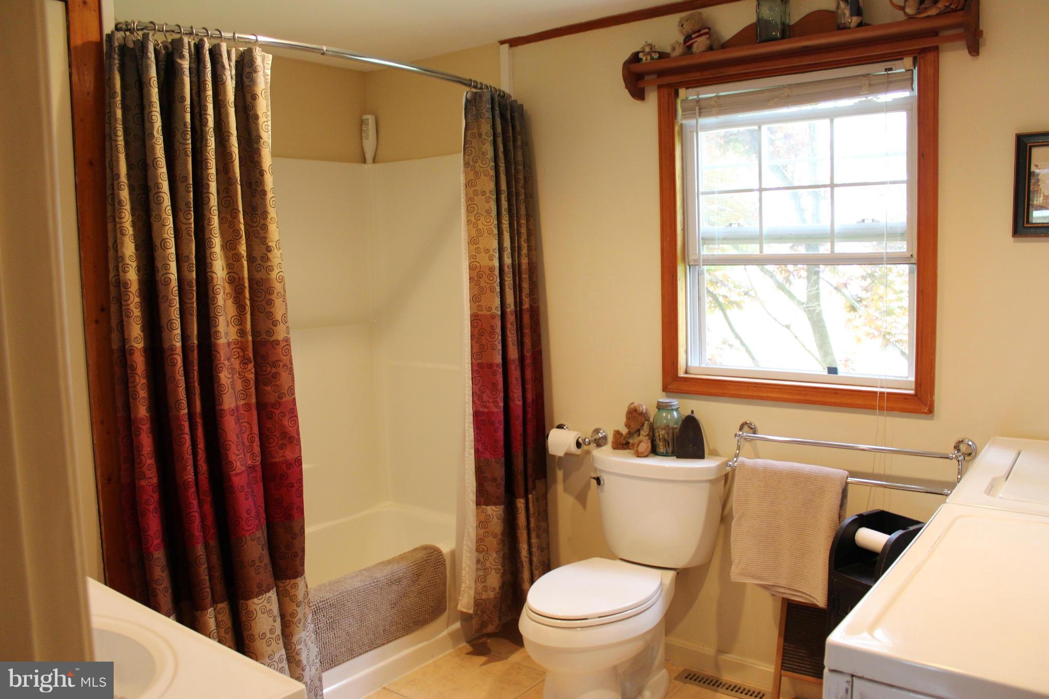 11191 Big Pool Road Big Pool, MD 21711 - Photo 17 of 30 a bathroom with a sink a toilet a mirror and shower curtain