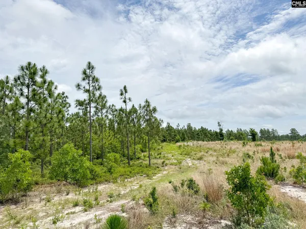 $202,000 | 0 Neely Wingard Road, Unit LOT 8, Leesville, SC 29070