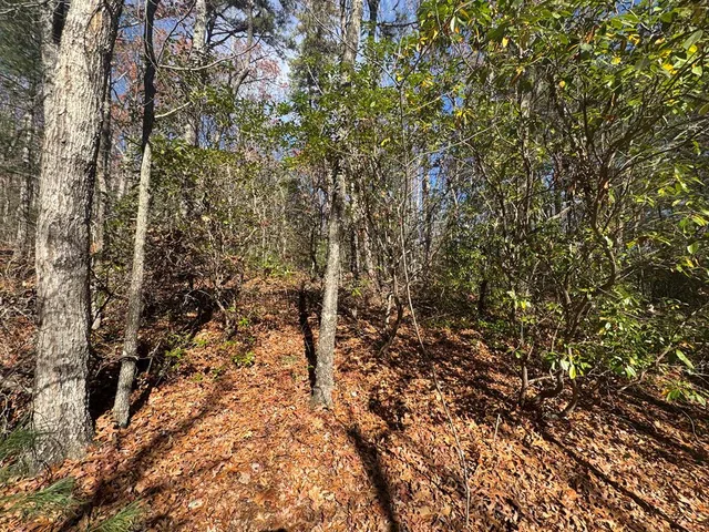 a view of a yard with a tree
