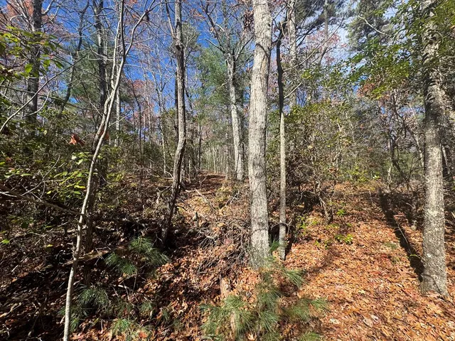 a view of a house with a tree