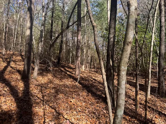 a view of outdoor space and a yard