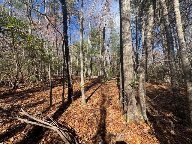 a view of an outdoor space
