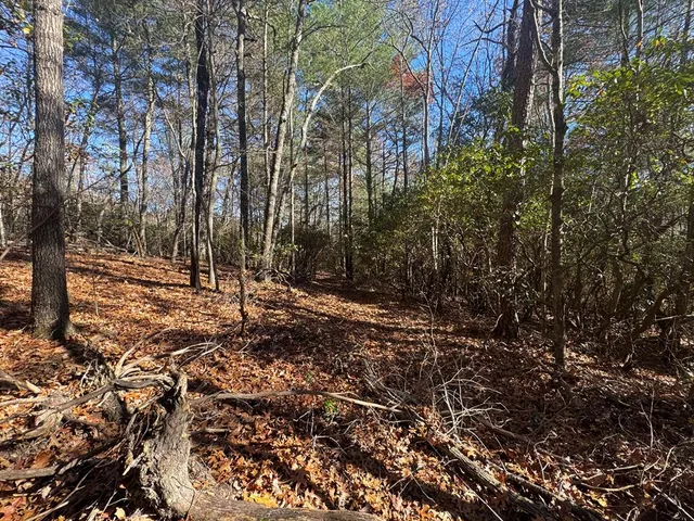 a view of outdoor space and trees