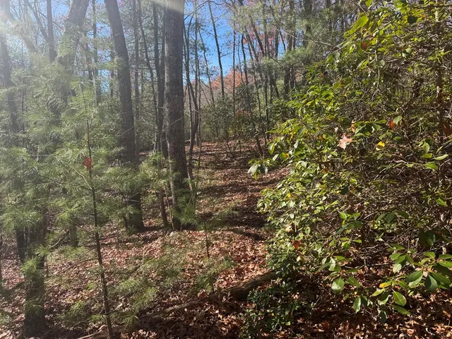 a view of a house with a tree