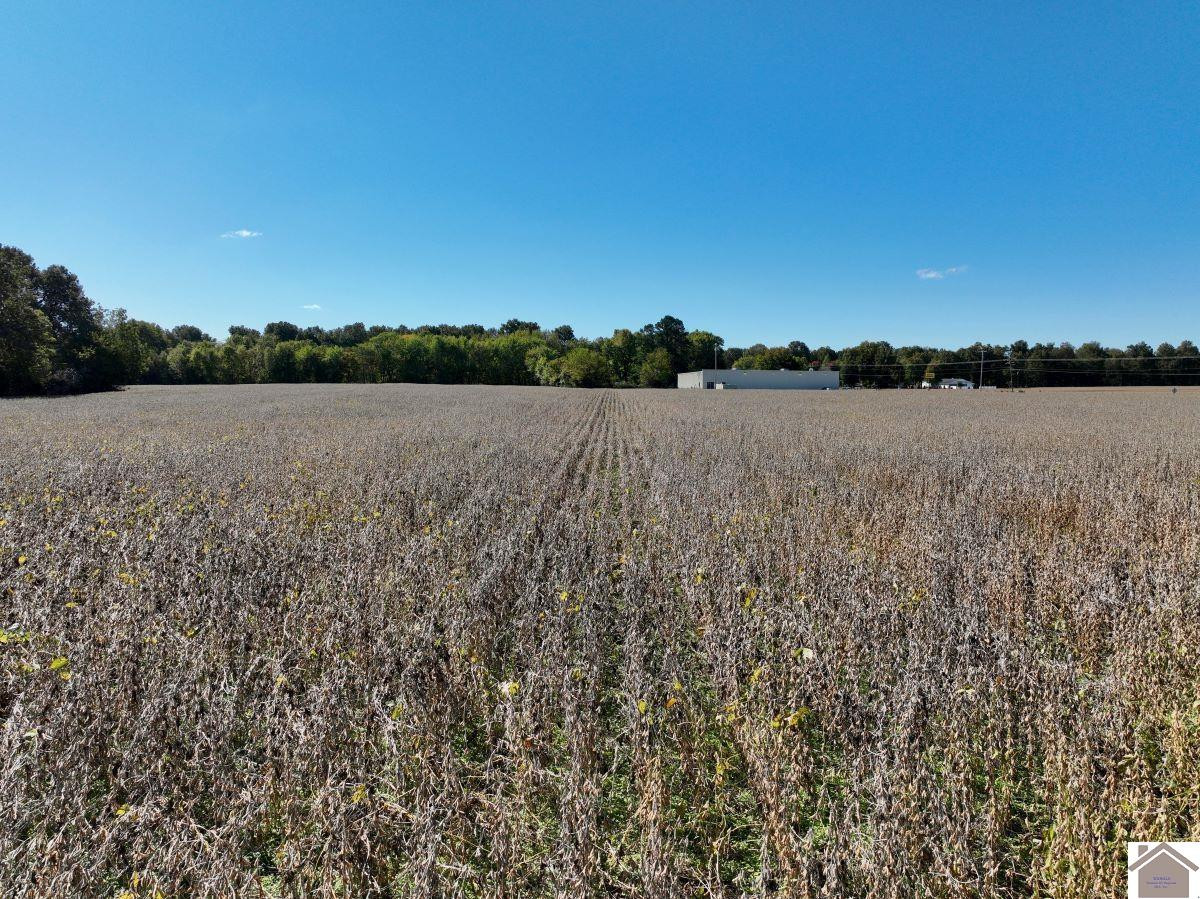 0 Kirksey Road Murray, KY 42071 - Photo 8 of 31 Photo 8