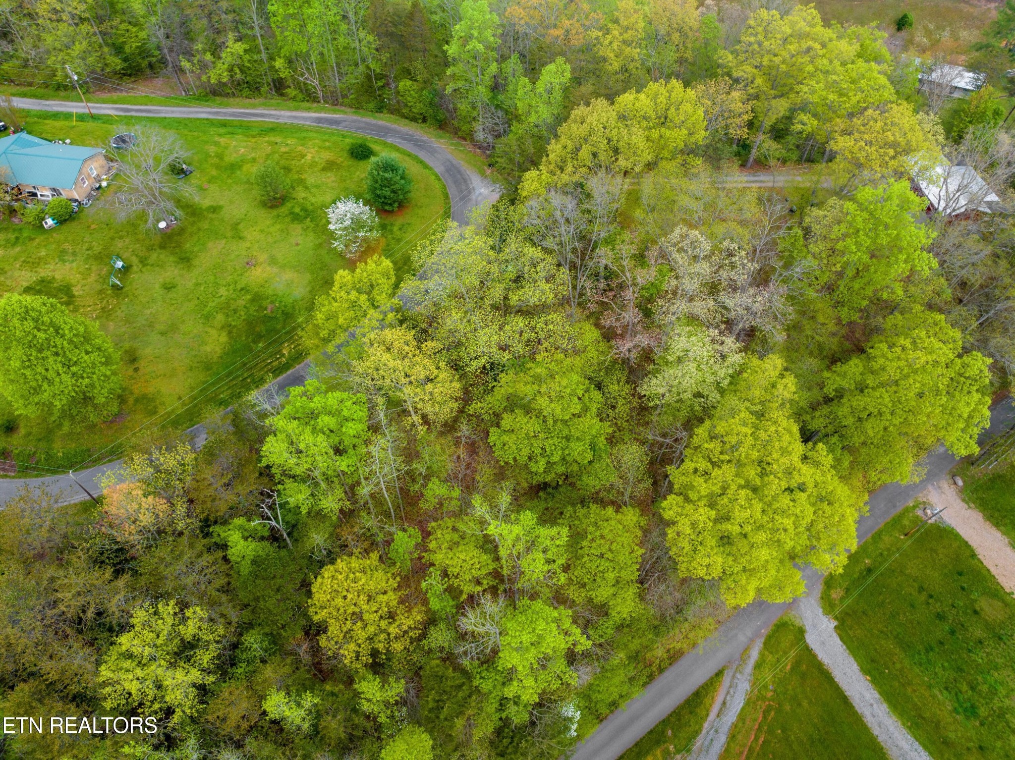 4042 Rivers Edge Drive Cosby, TN 37722 - Photo 3 of 14 Gallery Image 3