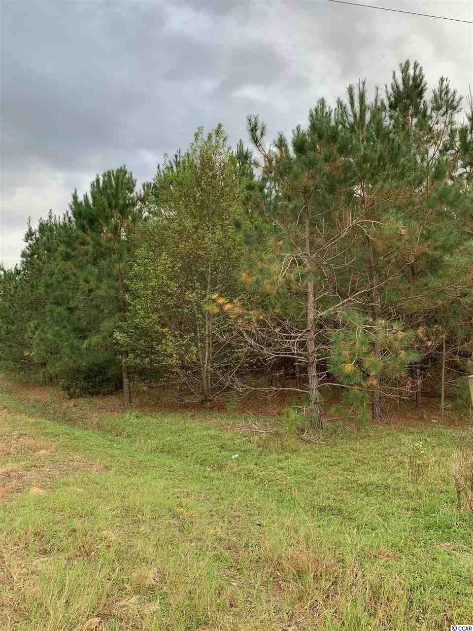 1 Whispering Hills Road Loris, SC 29569 - Photo 2 of 6 Gallery Image 2