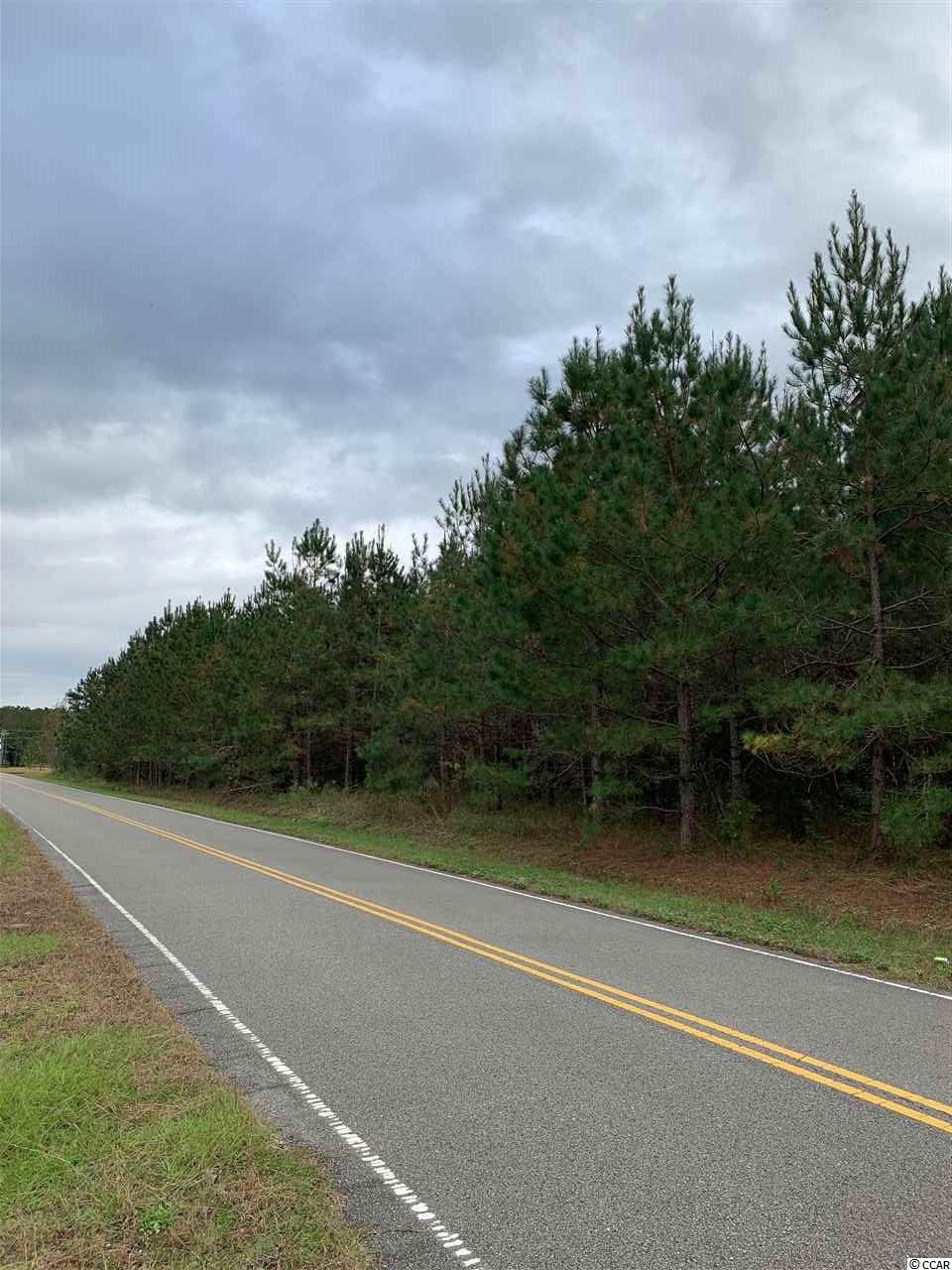 1 Whispering Hills Road Loris, SC 29569 - Photo 3 of 6 Gallery Image 3