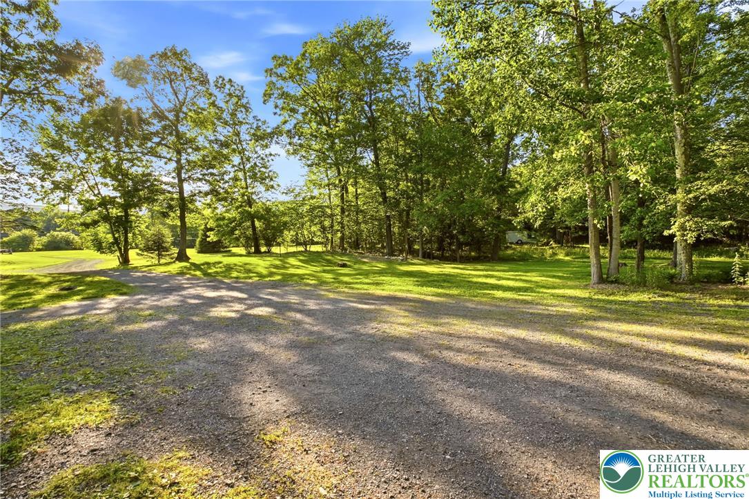 9033 Loop Road Slatington, PA 18080 - Photo 52 of 53 A spacious gravel driveway leads to a secluded estate, surrounded by mature trees and lush green lawns.