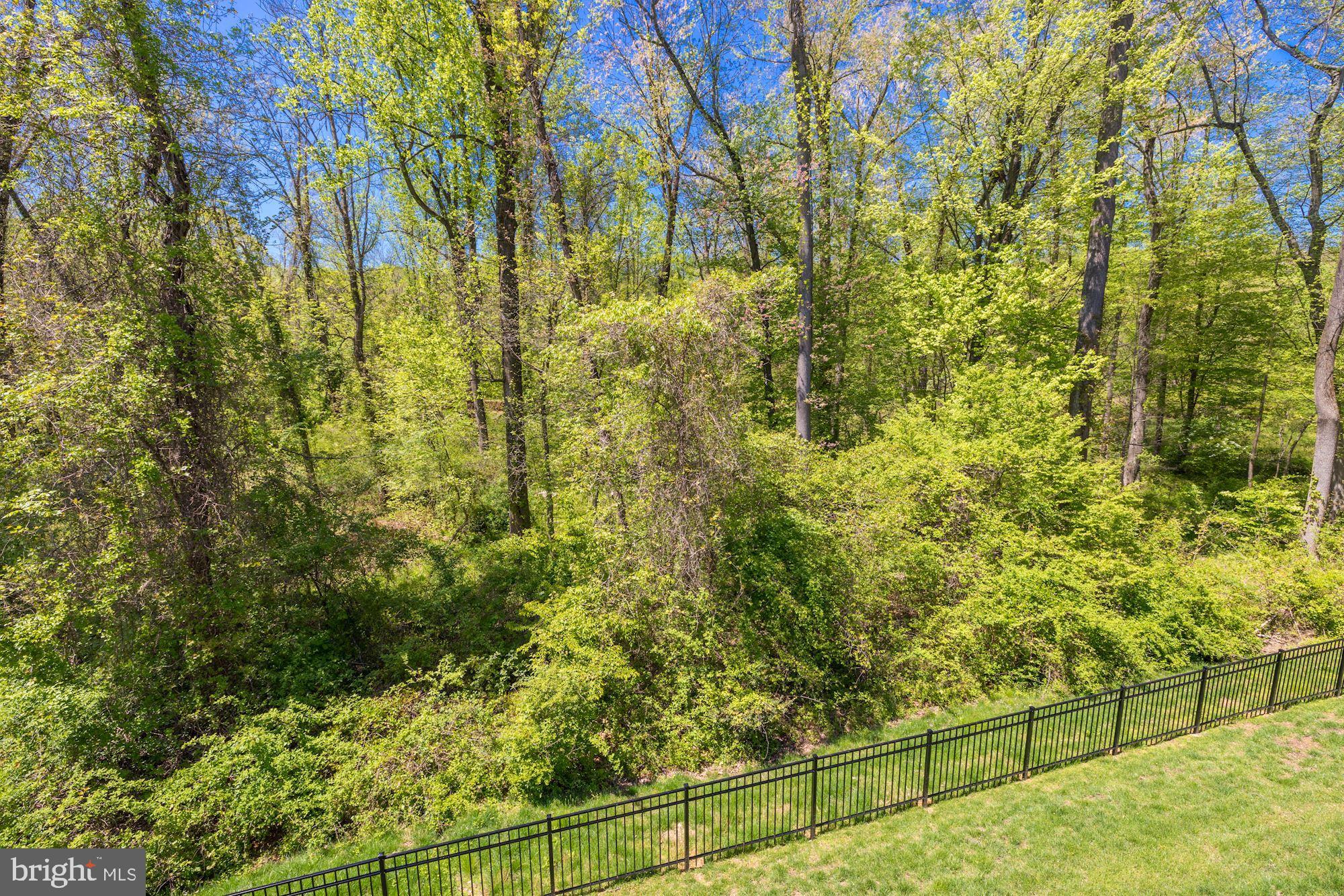 1296 Scotts Run Road McLean, VA 22102 - Photo 14 of 35 Gallery Image 14