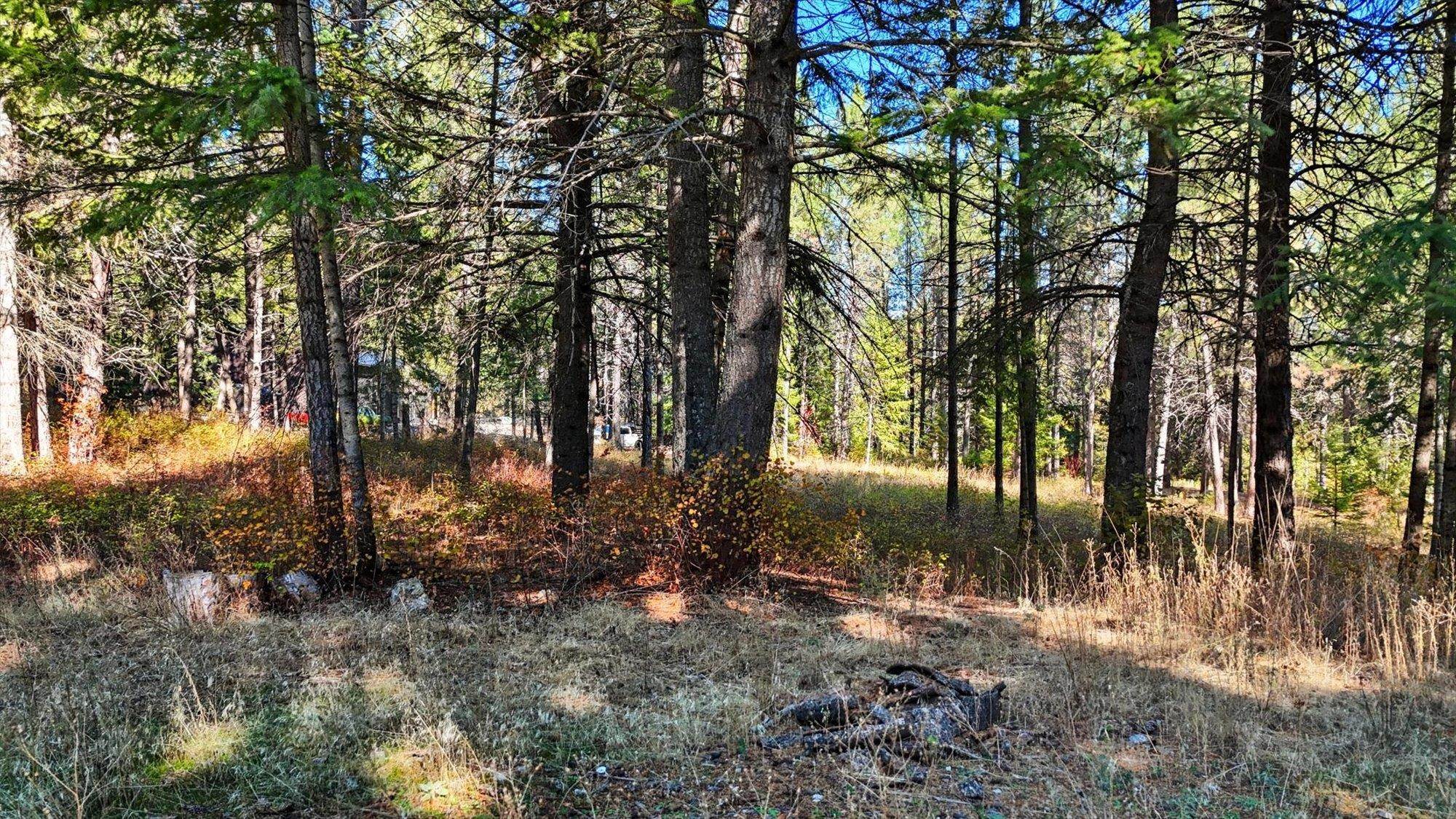 Nka West Barrett Drive, Unit LOT 1 Rathdrum, ID 83858 - Photo 4 of 12