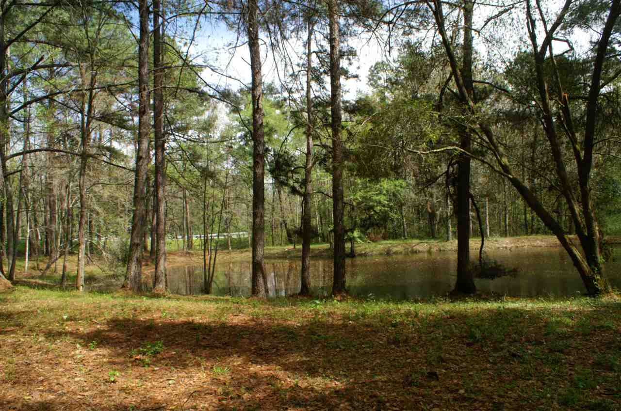 2321 Salem Road Havana, FL 32333 - Photo 14 of 36 Gallery Image 14