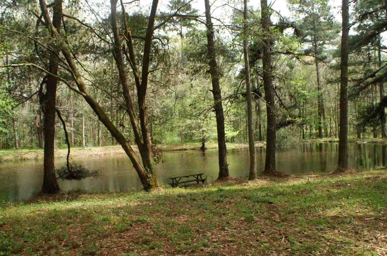 2321 Salem Road Havana, FL 32333 - Photo 16 of 36 Gallery Image 16