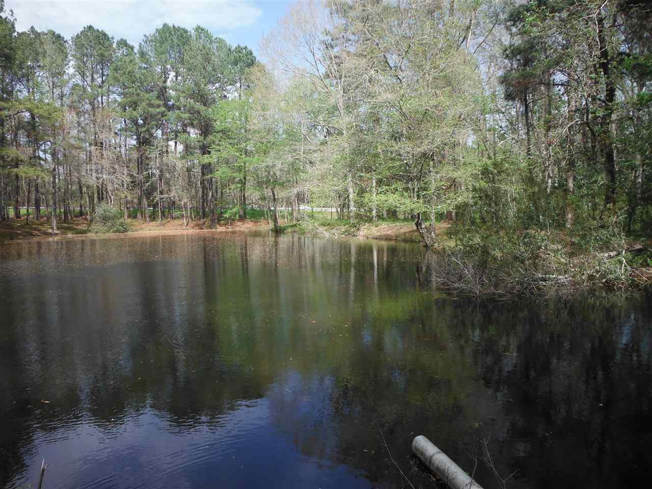 2321 Salem Road Havana, FL 32333 - Photo 17 of 36 Gallery Image 17