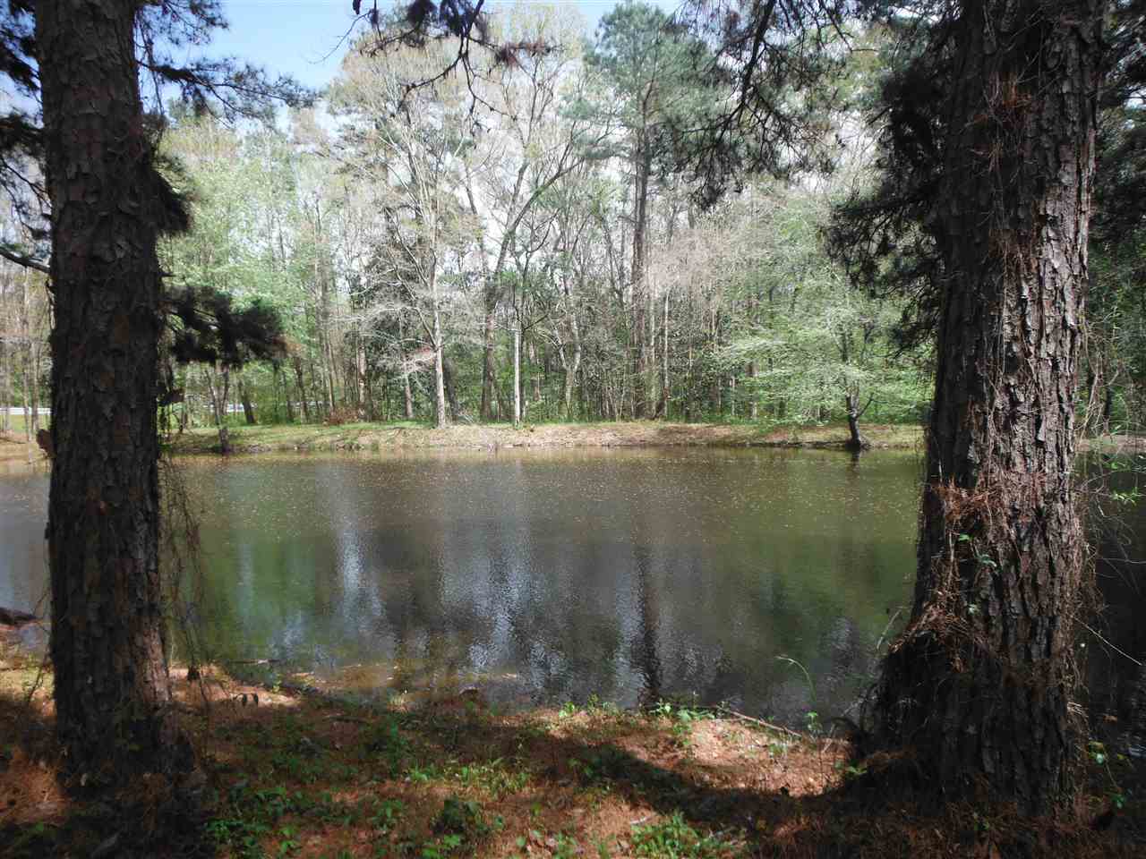 2321 Salem Road Havana, FL 32333 - Photo 22 of 36 Gallery Image 22