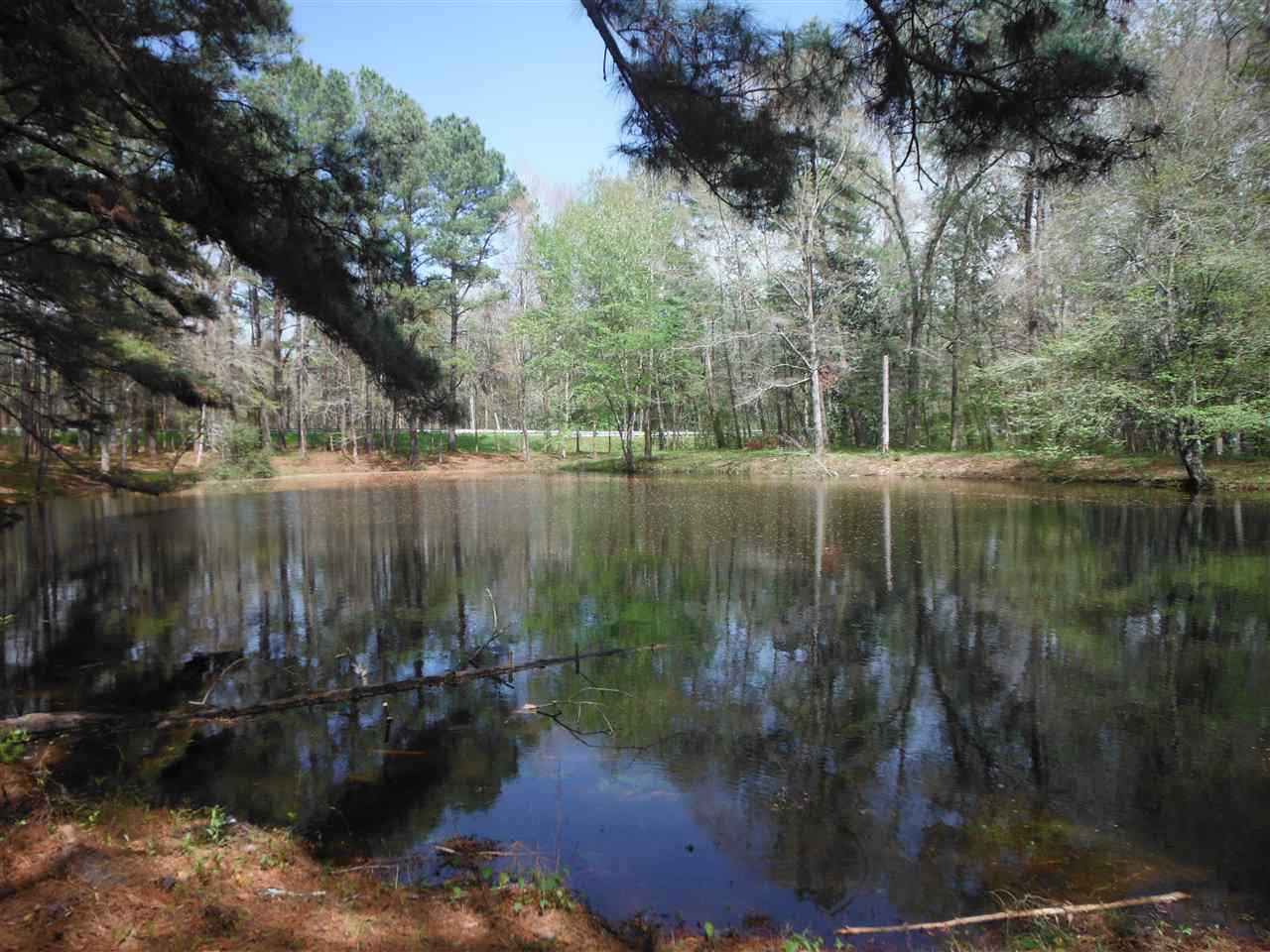 2321 Salem Road Havana, FL 32333 - Photo 35 of 36 Gallery Image 35