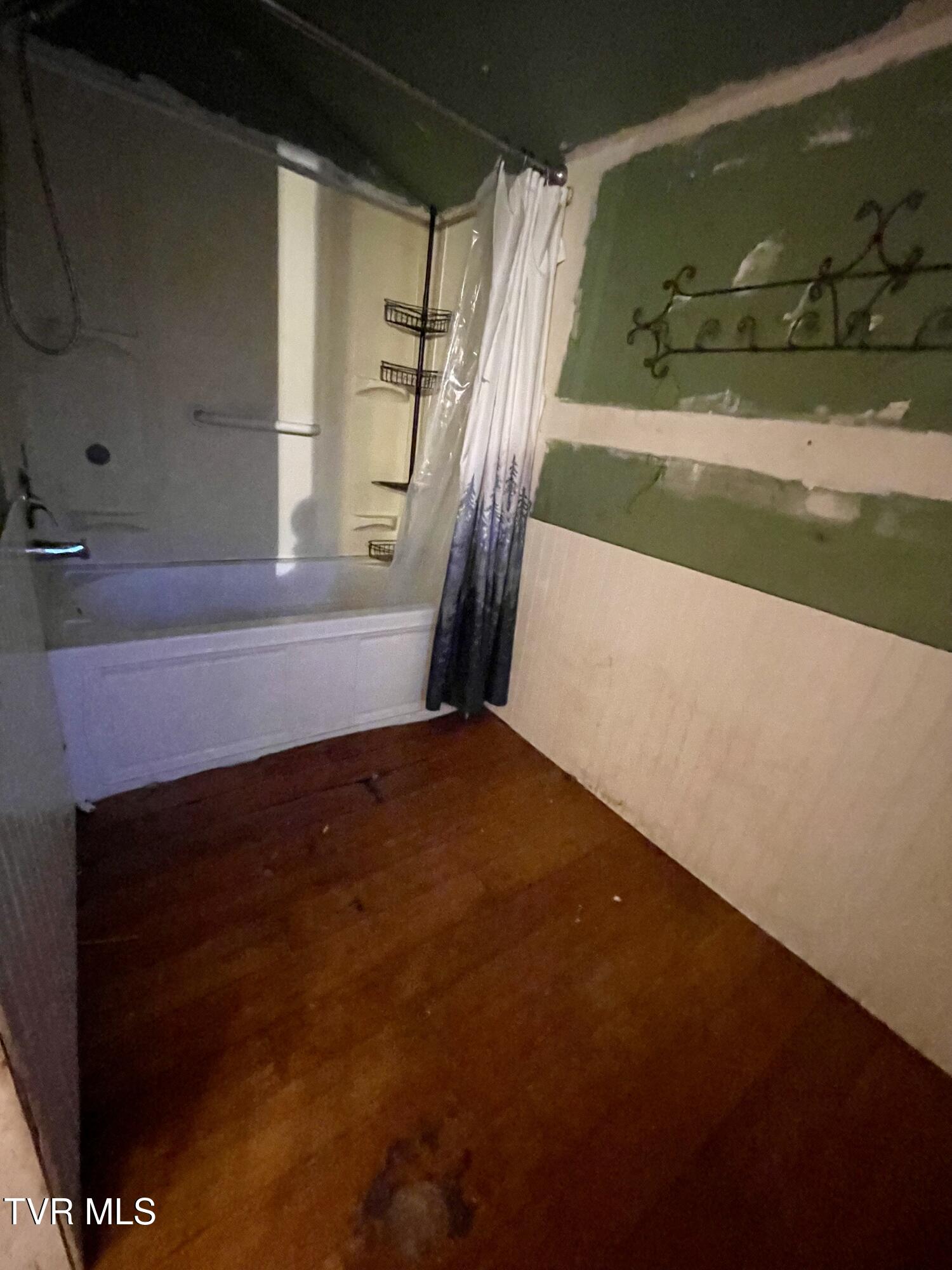 416 Opekiska Street Erwin, TN 37650 - Photo 20 of 29 IMG_4062