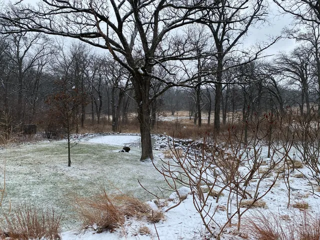 $130,000 | Lot #10 Oakmont Court, Woodstock, IL 60098