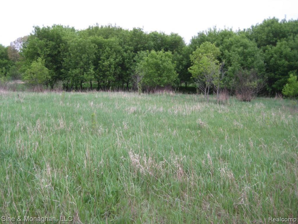 Ssss Ssss Washburn Road Grass Lake, MI 49240 - Photo 1 of 5