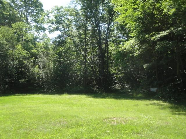 9209 Barnhart Road Mancelona, MI 49659 - Photo 24 of 33 1787288-23.JPG