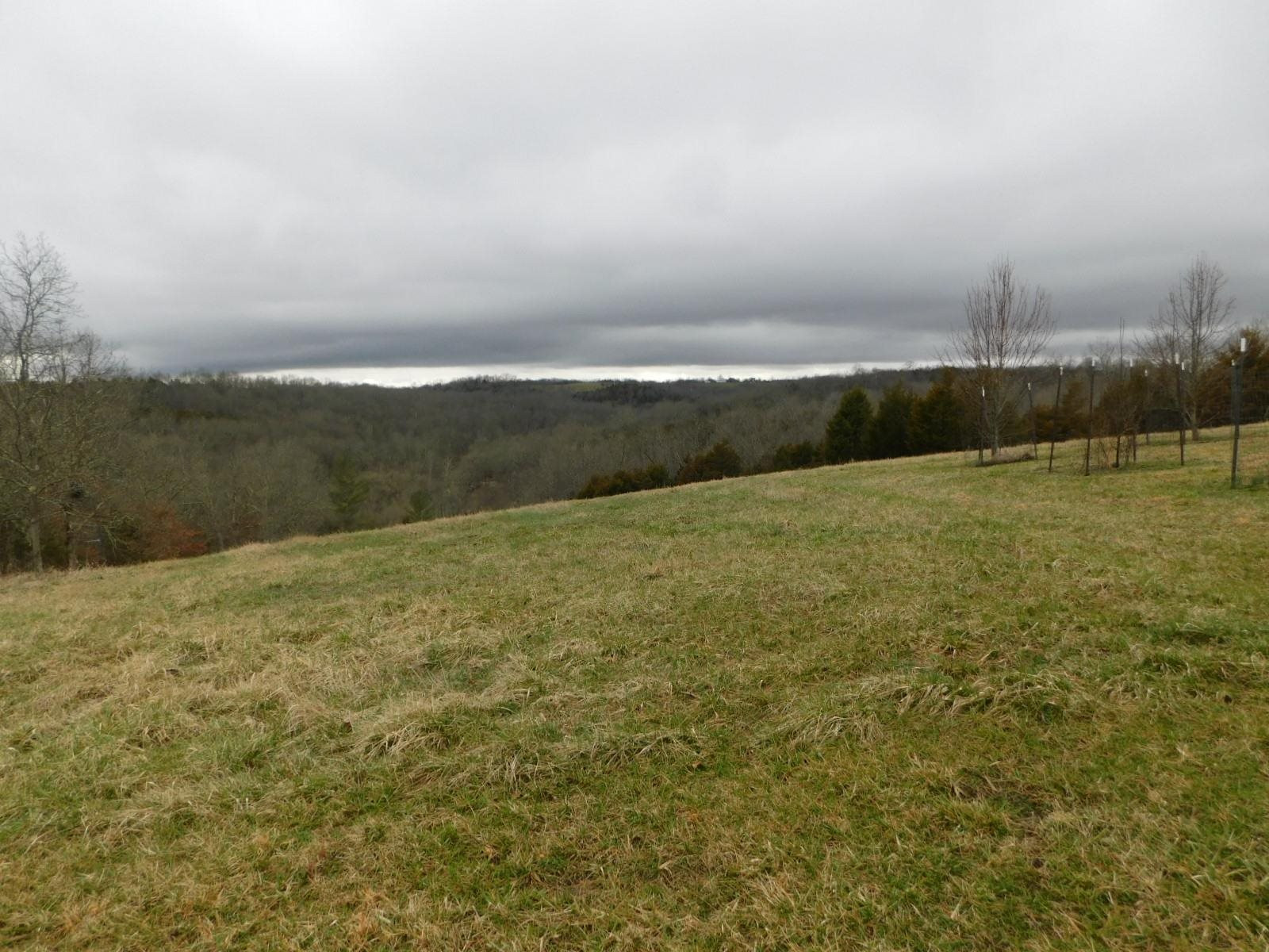 Hogg Ridge Dry Ridge, KY 41035 - Photo 6 of 22