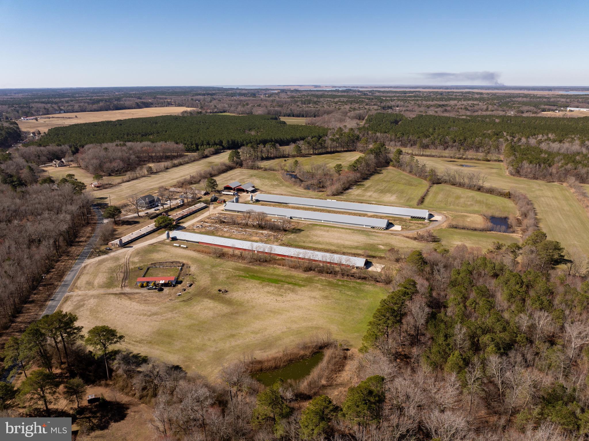 24688 Porter Mill Road Hebron, MD 21830 - Photo 13 of 28