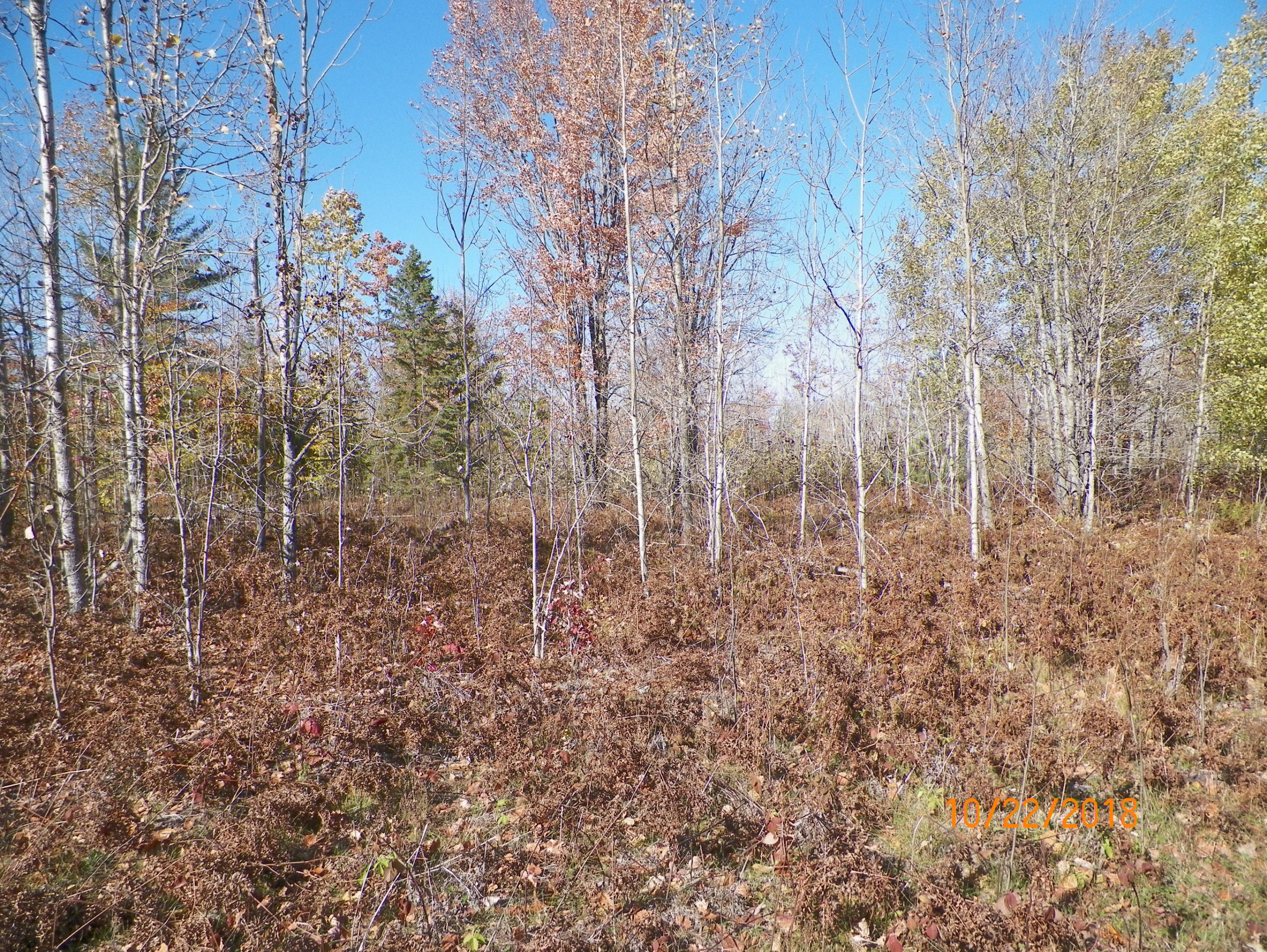 Upper Mograin Road Cheboygan, MI 49721 - Photo 2 of 5 Gallery Image 2