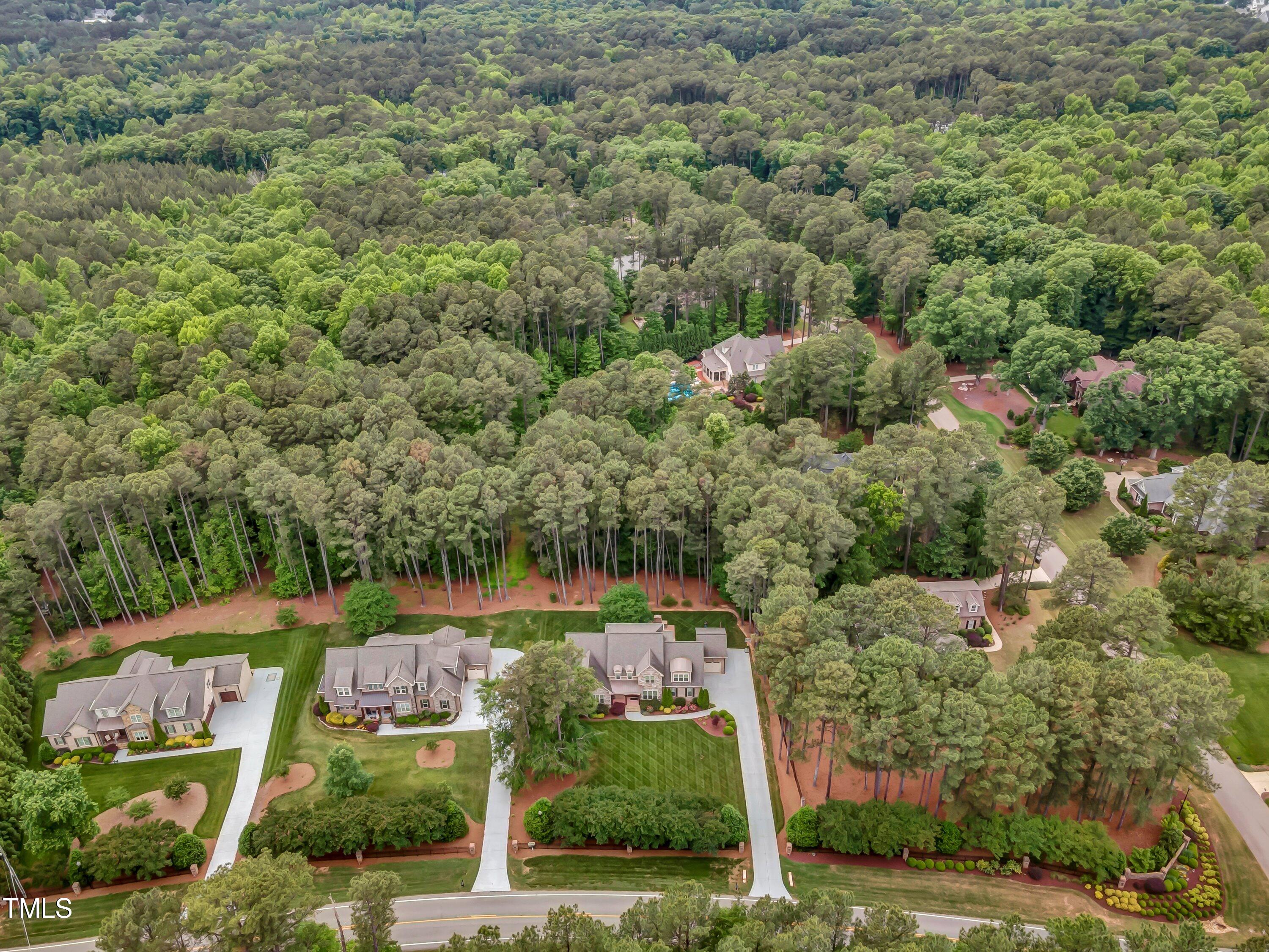 6125 Purnell Road Wake Forest, NC 27587 - Photo 3 of 39 aerial woods