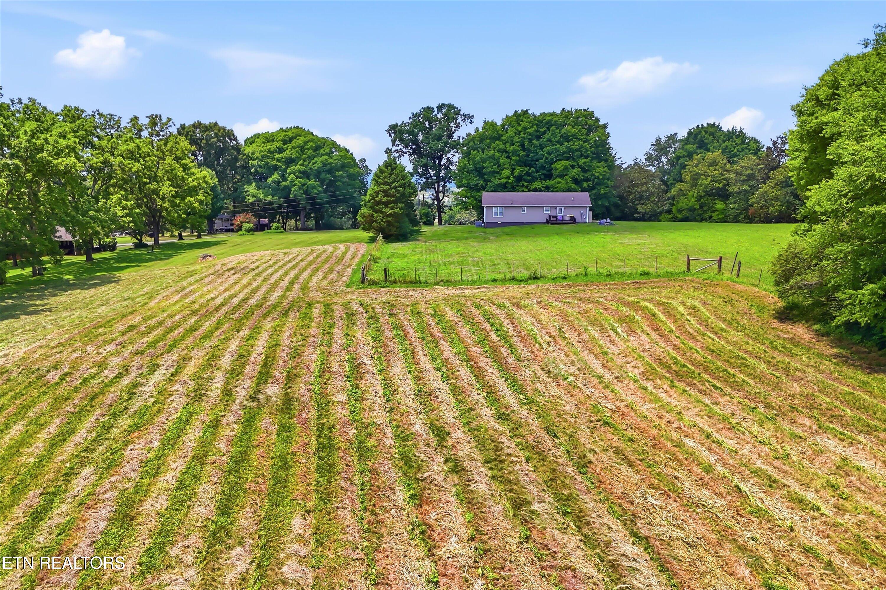 1035 Green Road Madisonville, TN 37354 - Photo 7 of 46 19-FINAL-19