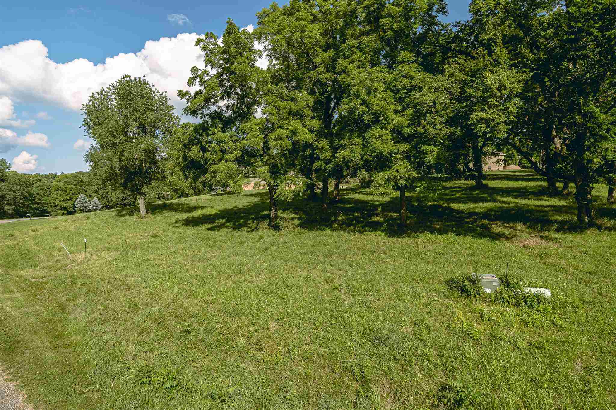 4 Edwards Trace Elkhart, IL 62634 - Photo 3 of 8