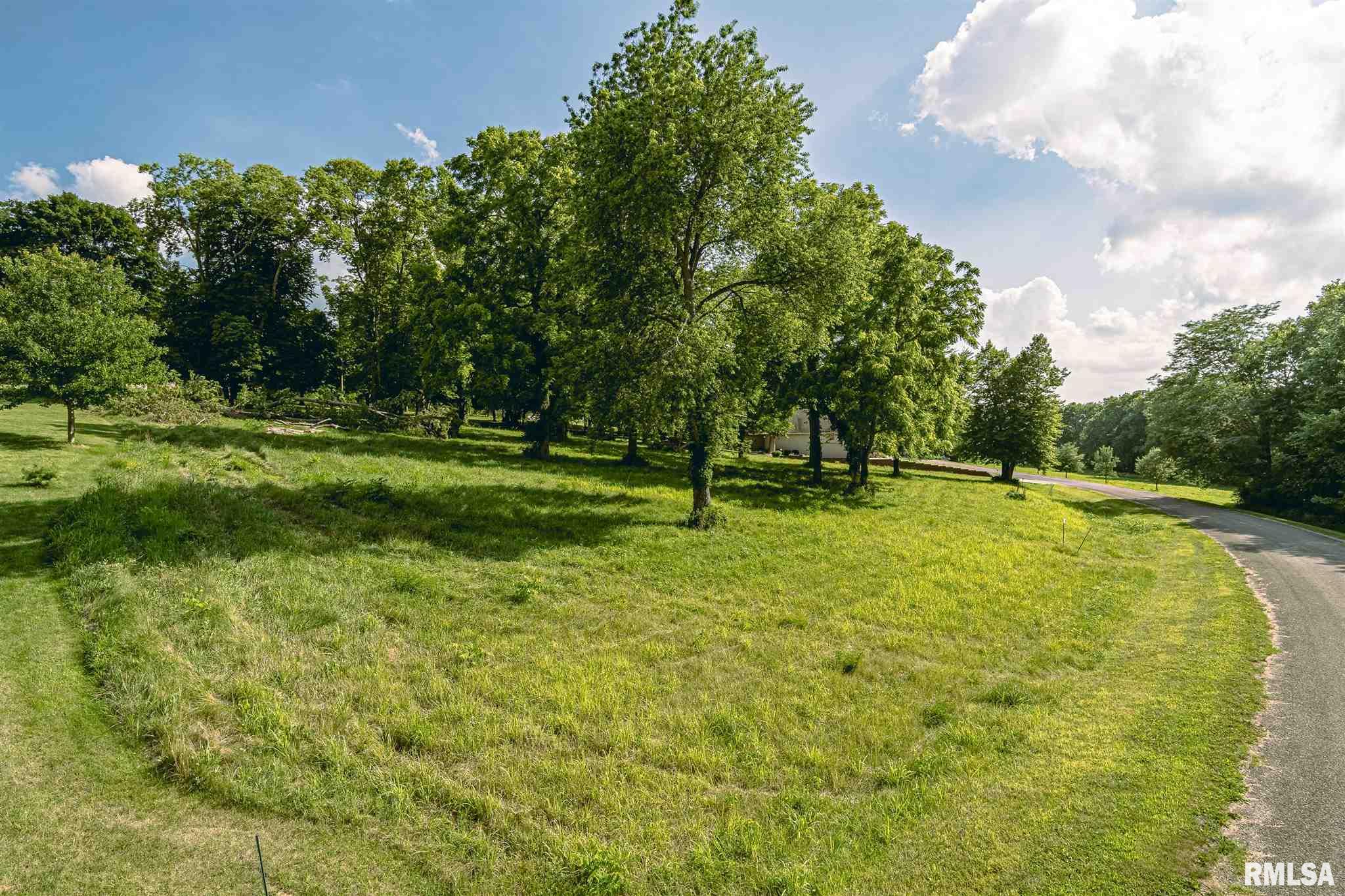 4 Edwards Trace Elkhart, IL 62634 - Photo 4 of 8