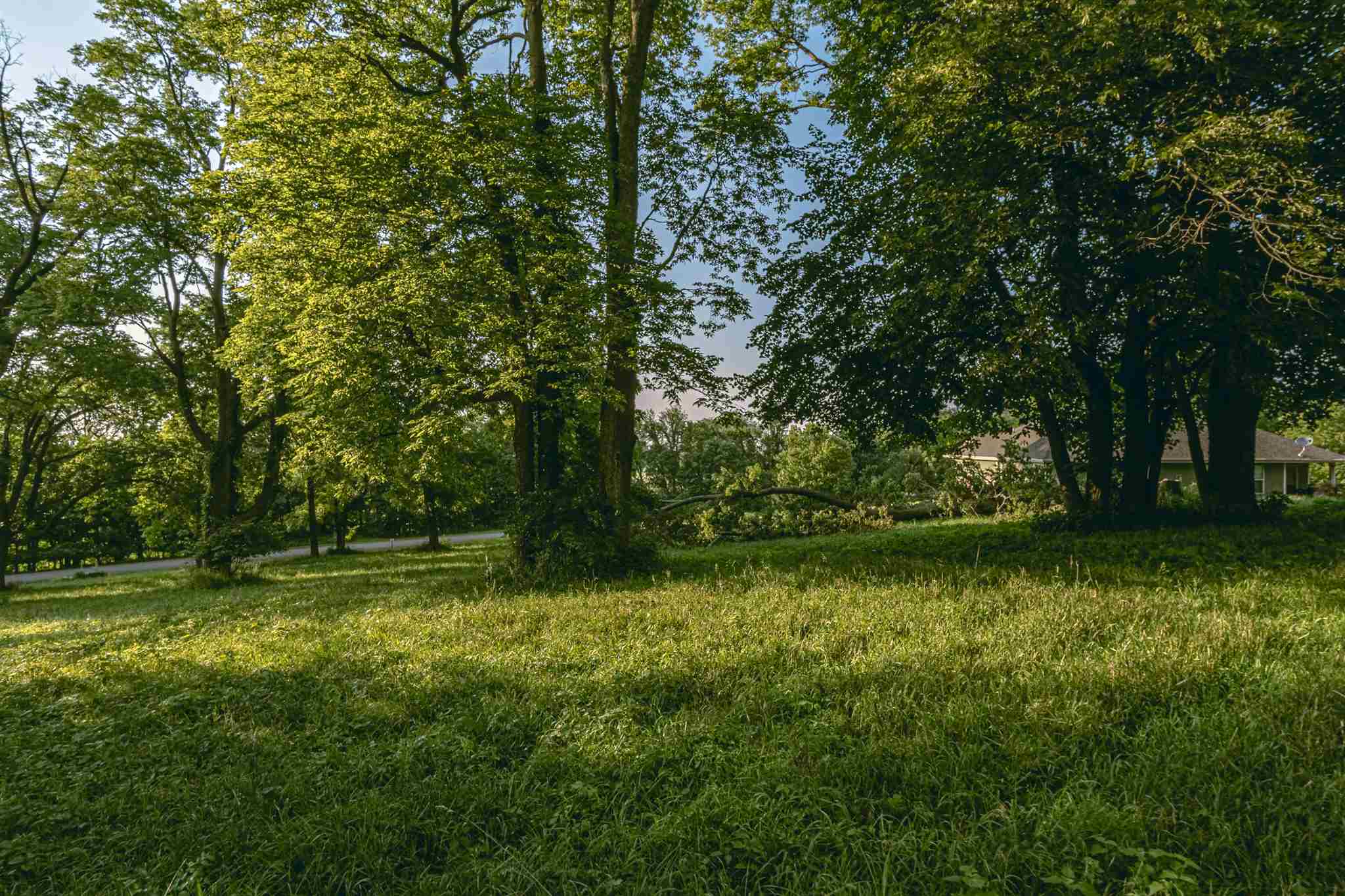 4 Edwards Trace Elkhart, IL 62634 - Photo 5 of 8