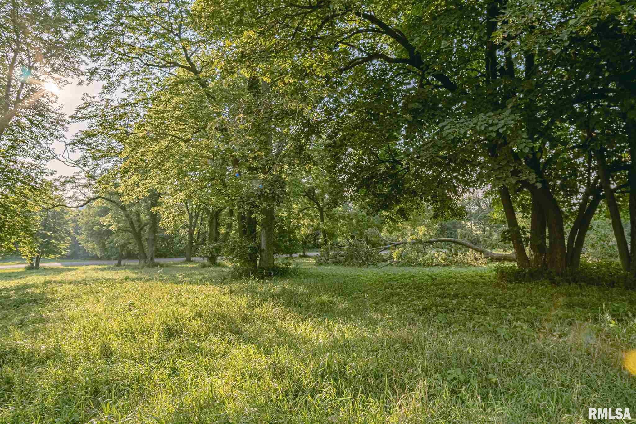 4 Edwards Trace Elkhart, IL 62634 - Photo 6 of 8