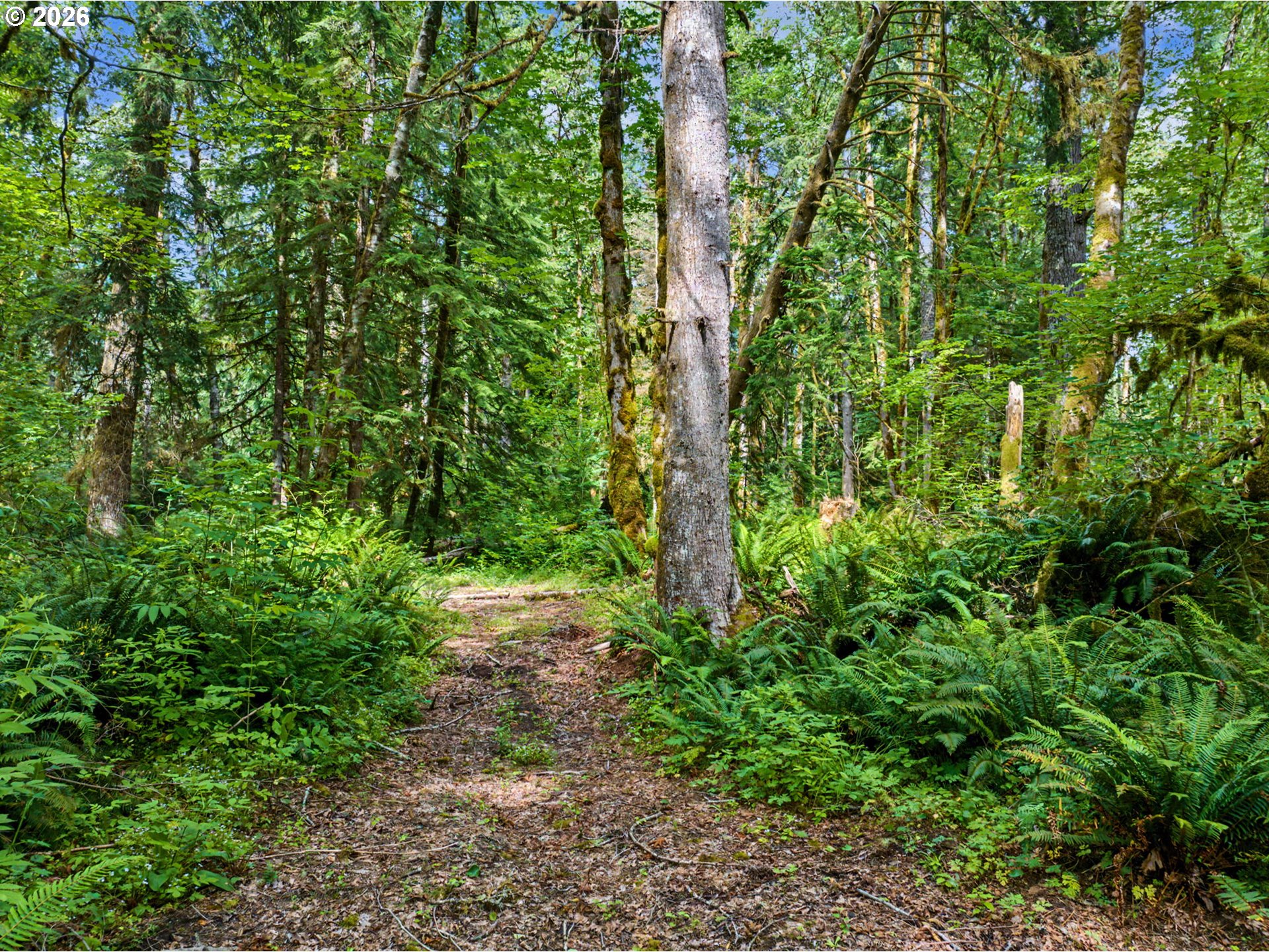 64601 East Brightwood Loop Road Brightwood, OR 97011 - Photo 39 of 48