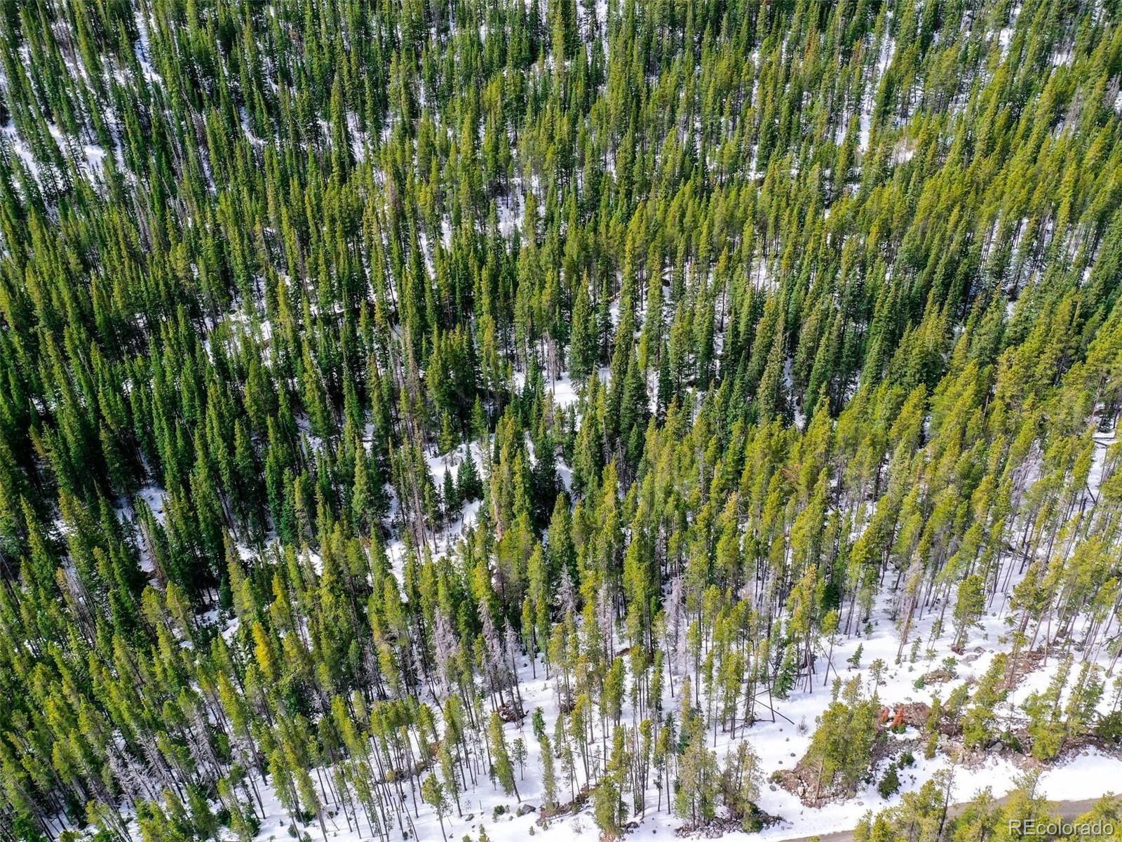 Rainbow Road Idaho Springs, CO 80452 - Photo 3 of 13 a view of a bunch of trees